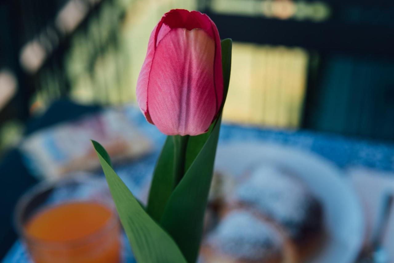 Bed and Breakfast Bluviro Bronte Zewnętrze zdjęcie
